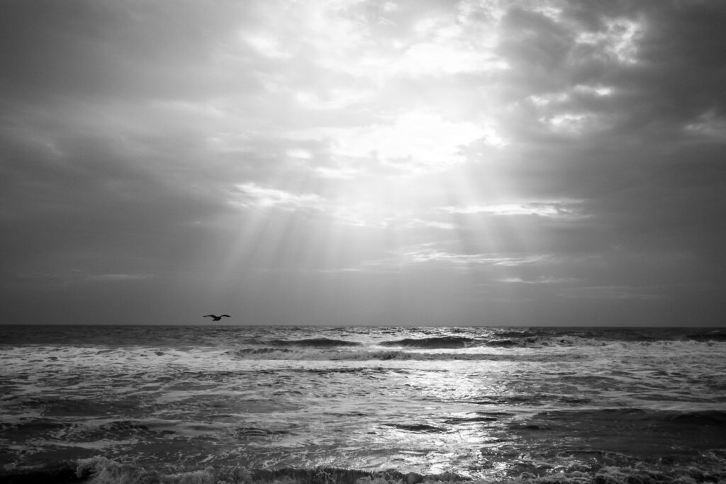 the morning of our departure