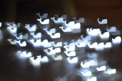 Whale Bokeh